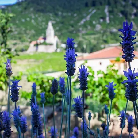 Garden Komiža
